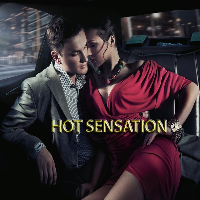 Couverture de Hot Sensation