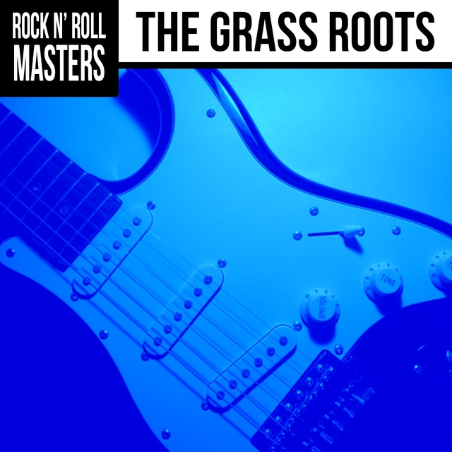 Rock n'  Roll Masters: The Grass Roots