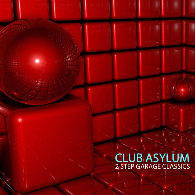 Couverture de Club Asylum - 2 Step Garage Classics