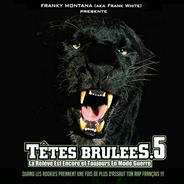 Couverture de Têtes brûlées, vol. 5