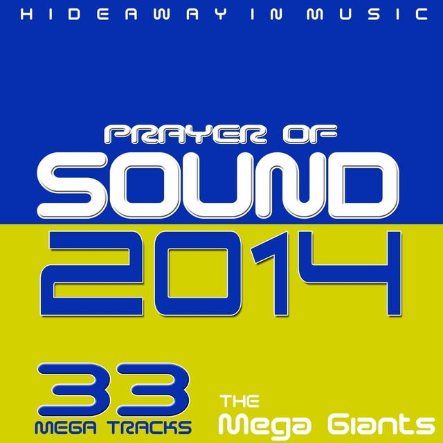 Couverture de Prayer of Sound 2014