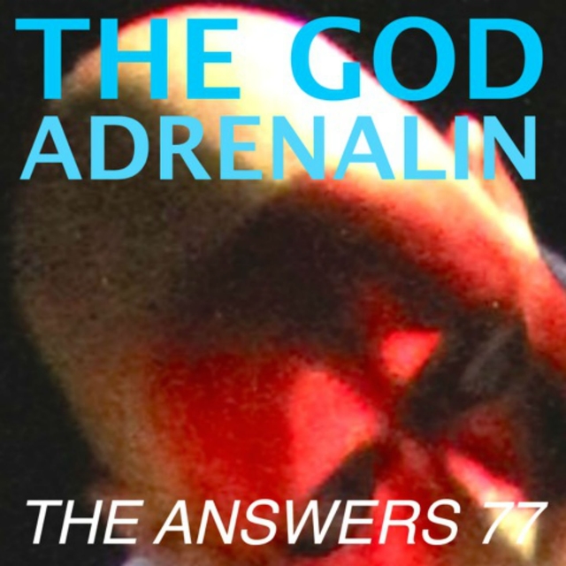 Couverture de The Answers 77