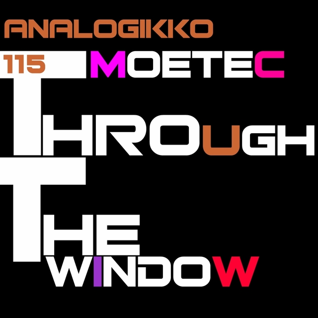 Couverture de Through the Window