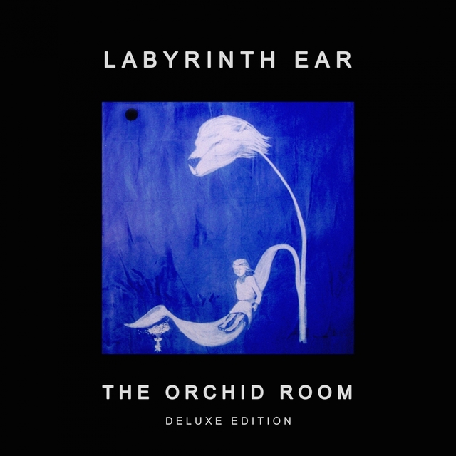 Couverture de The Orchid Room