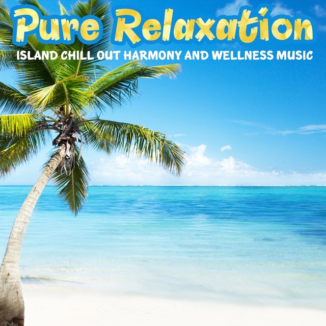 Couverture de Pure Relaxation