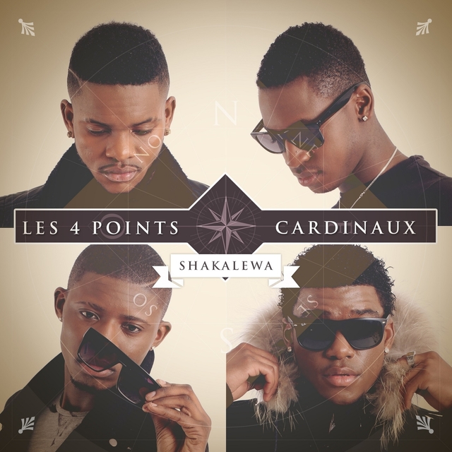 Couverture de Les 4 points cardinaux