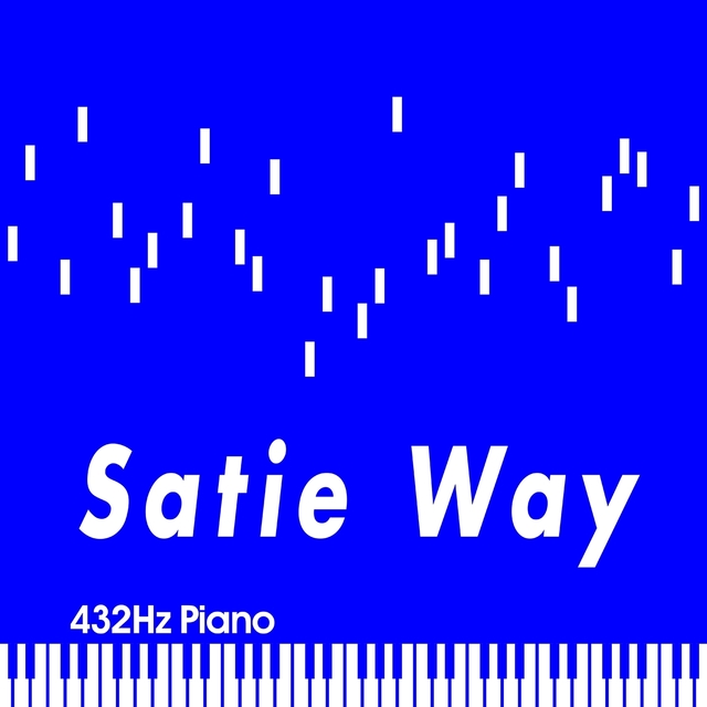 Couverture de Satie Way