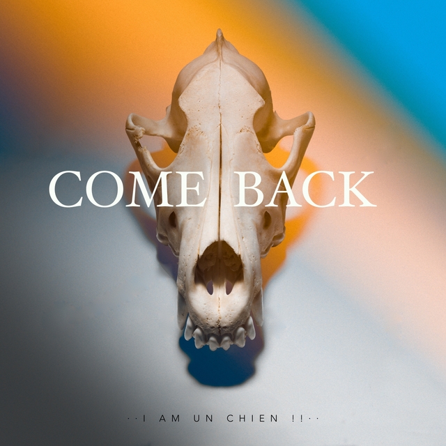 Couverture de Come Back