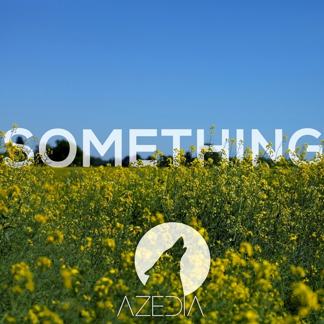 Couverture de Something