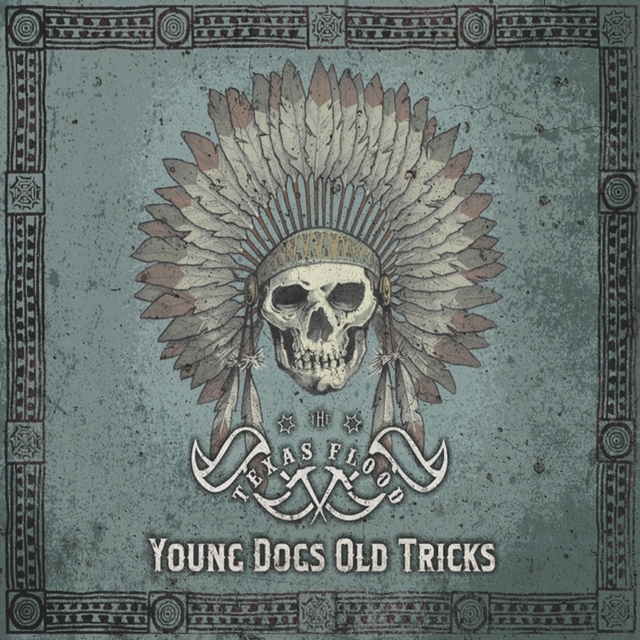 Couverture de Young Dogs Old Tricks