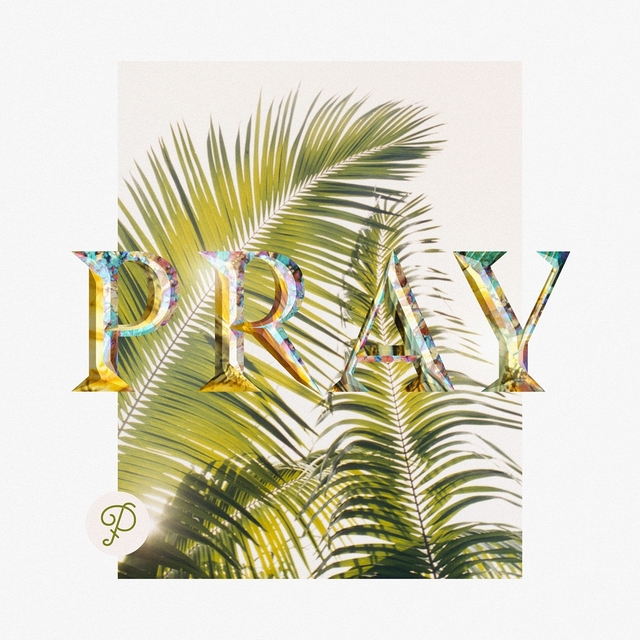 Couverture de Pray