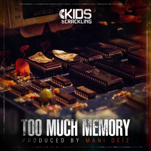 Couverture de Too Much Memory