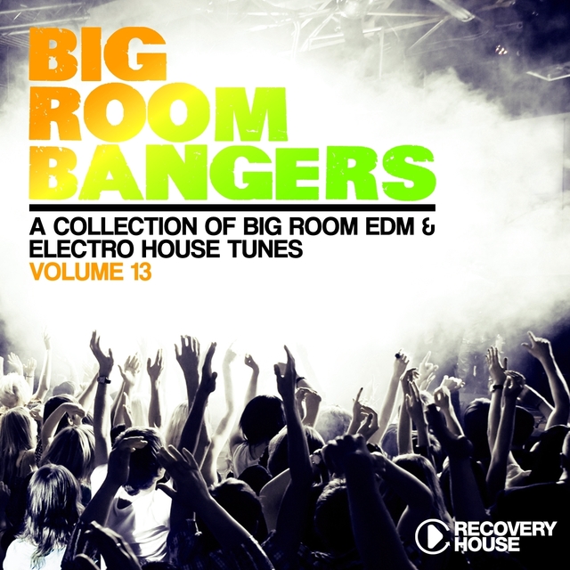 Couverture de Big Room Bangers, Vol. 13