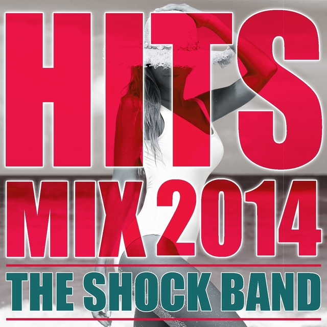 Couverture de Hits Mix 2014