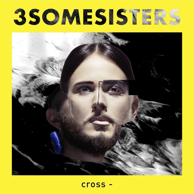 Couverture de Cross-