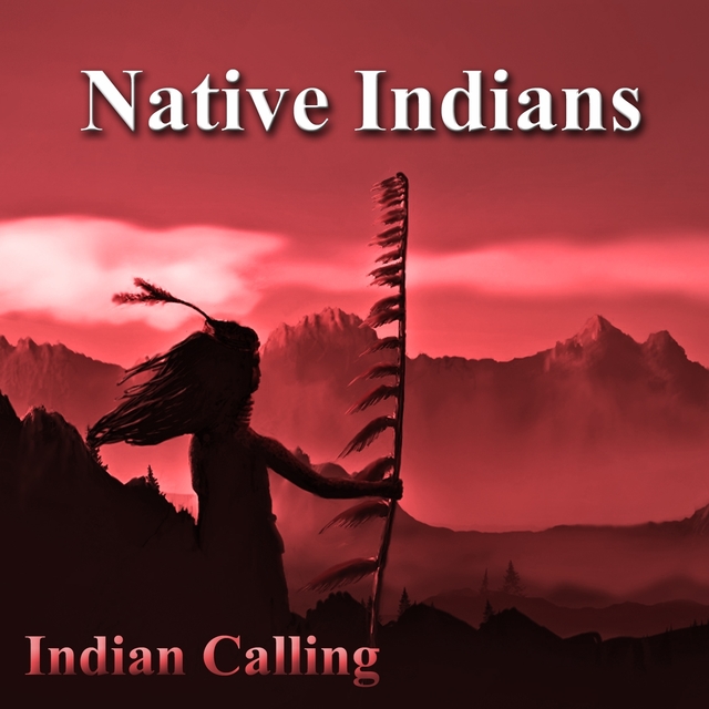 Couverture de Native Indians