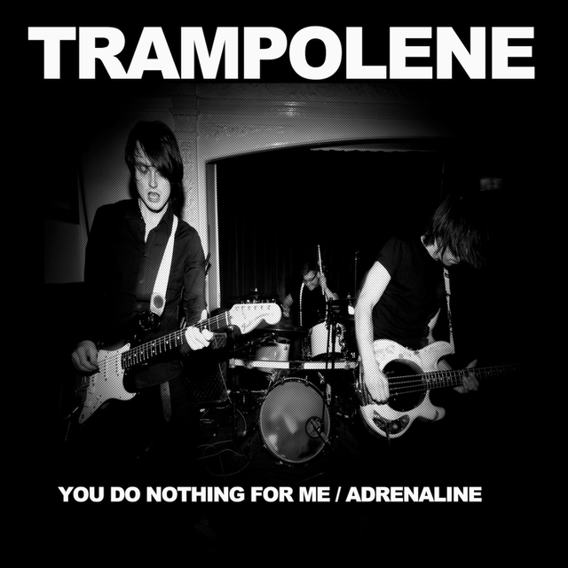 You Do Nothing for Me / Adrenaline