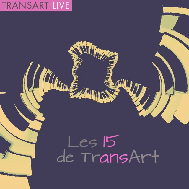 Couverture de Les 15 ans de Transart