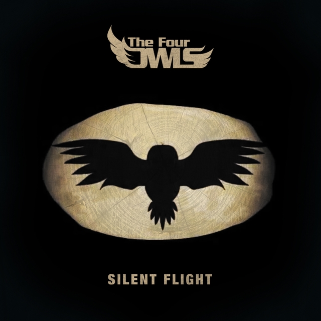 Couverture de Silent Flight