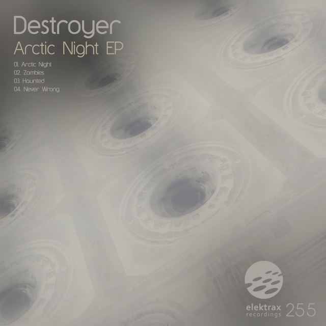 Couverture de Arctic Night EP