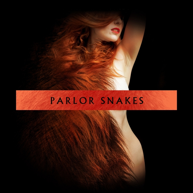 Couverture de Parlor Snakes