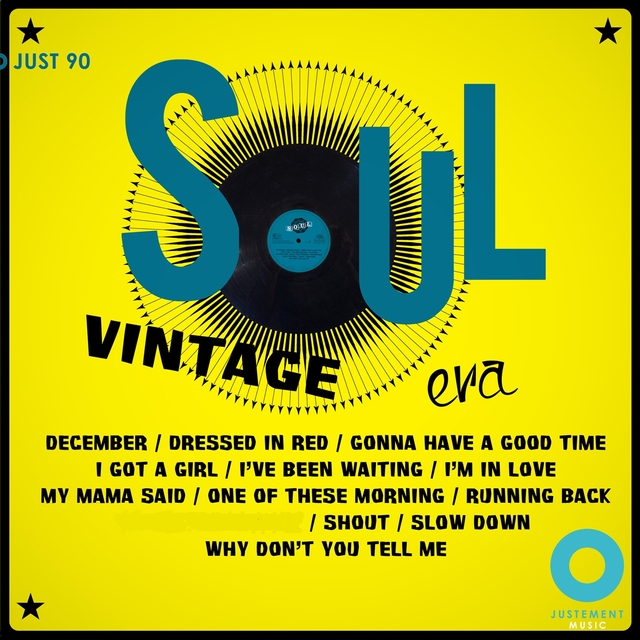 Couverture de The Vintage Soul Era