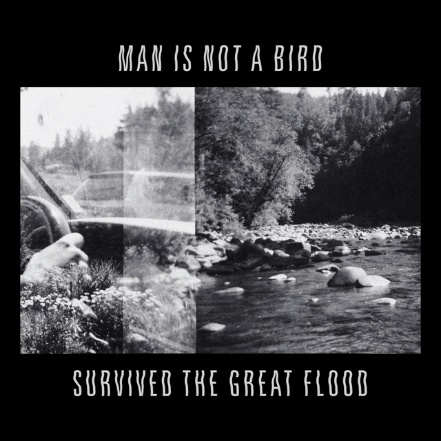 Couverture de Survived the Great Flood