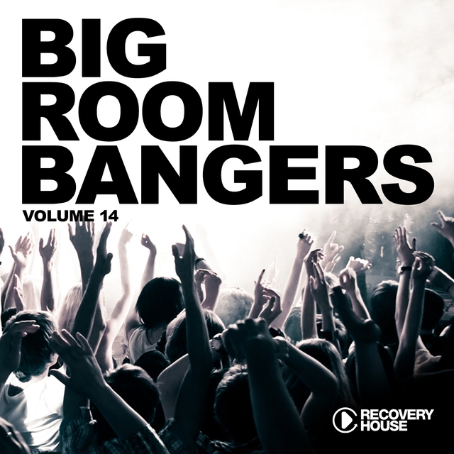 Big Room Bangers, Vol. 14