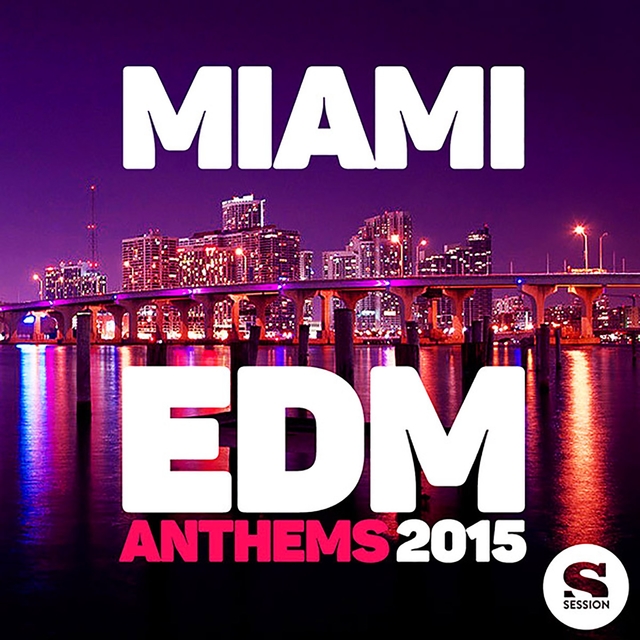 Couverture de Miami Edm Anthems 2015