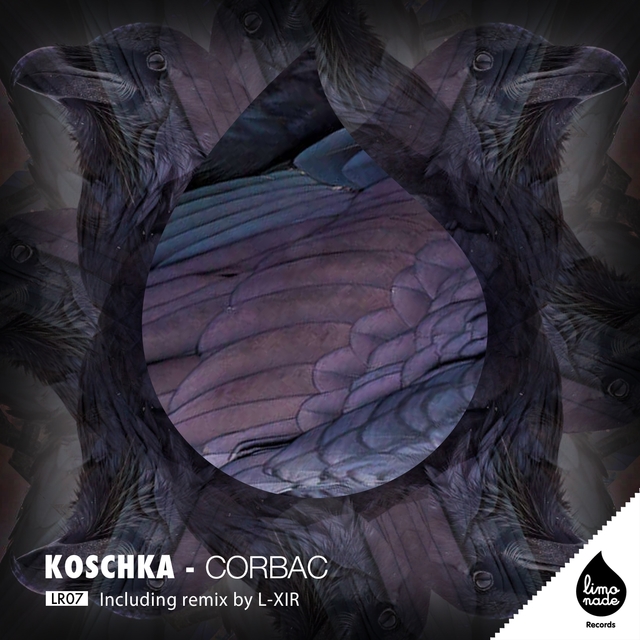 Couverture de Koschka