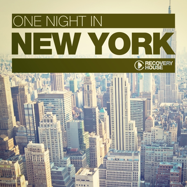 Couverture de One Night in New York