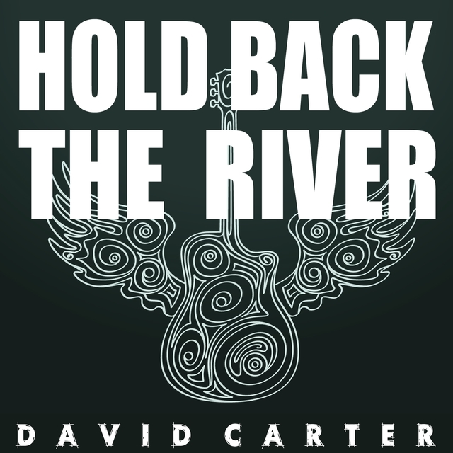 Couverture de Hold Back the River