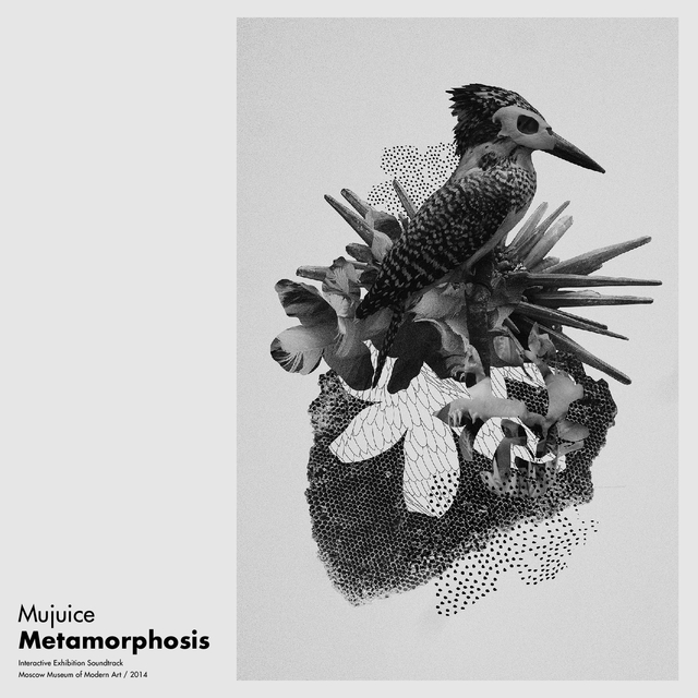 Couverture de Metamorphosis