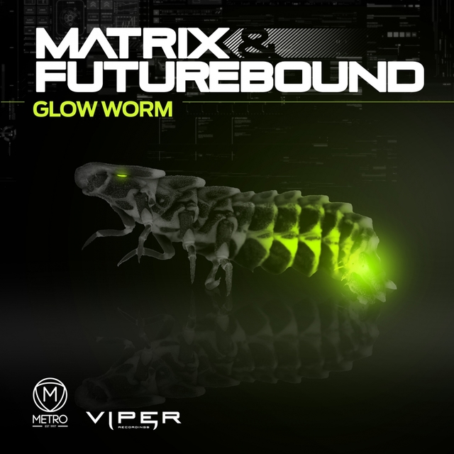 Couverture de Glow Worm