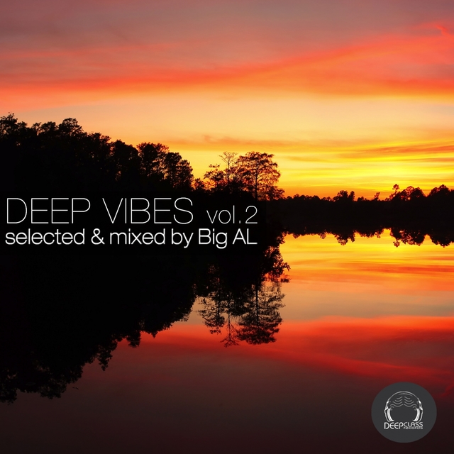 Couverture de Deep Vibes, Vol. 2