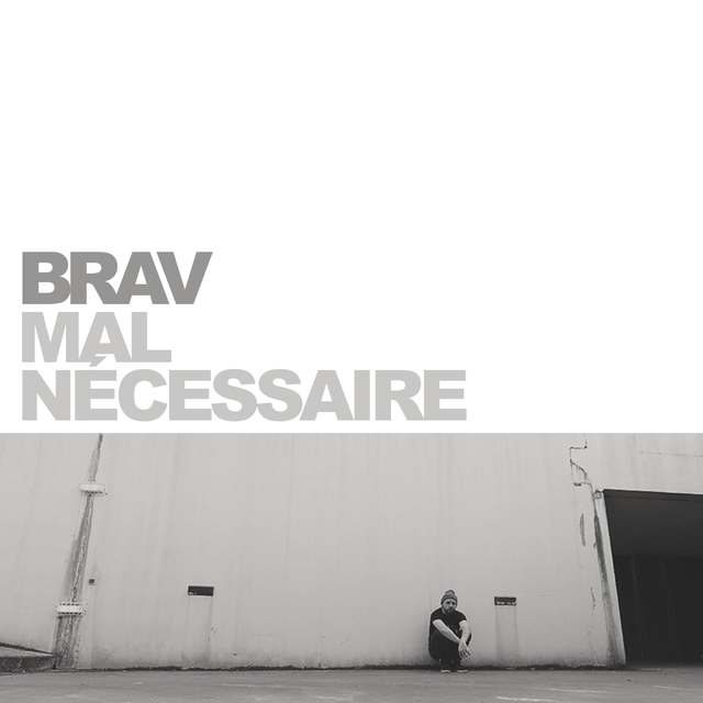 Mal nécessaire