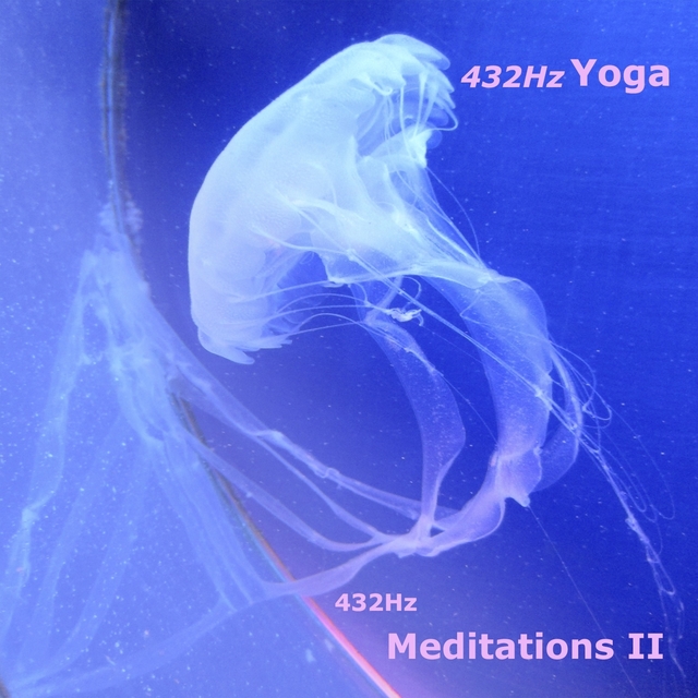Couverture de 432HZ Meditations II