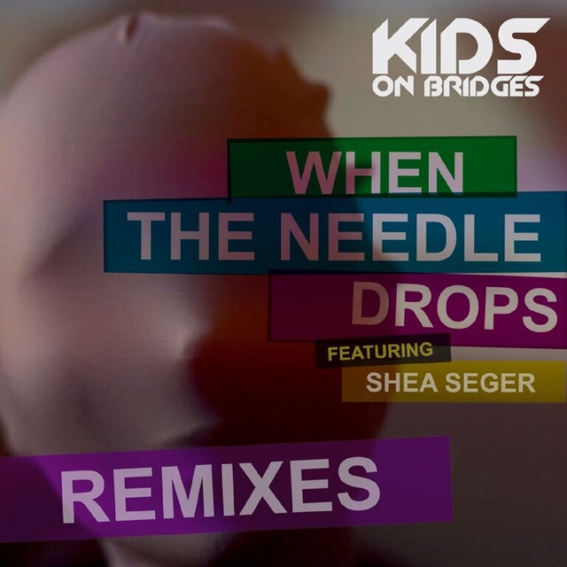 Couverture de When the Needle Drops