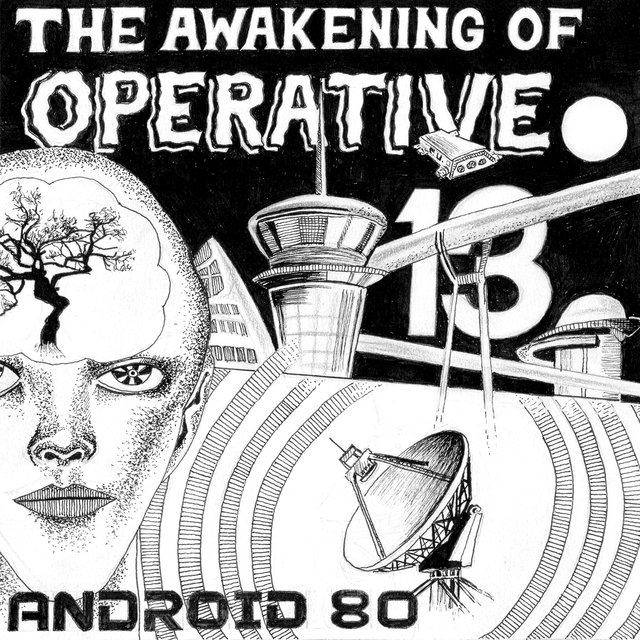 Couverture de The Awakening of Operative 13