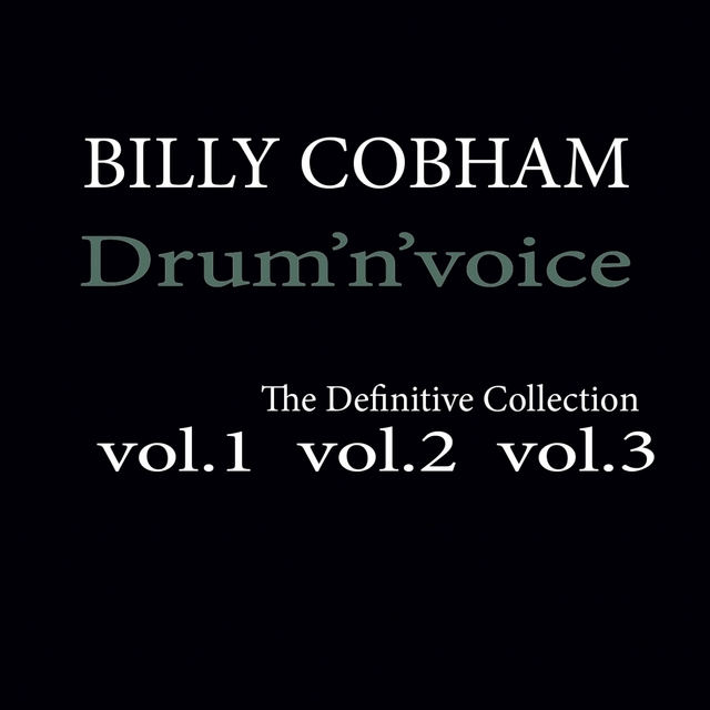 Couverture de Drum 'n' Voice: The Definitive Collection