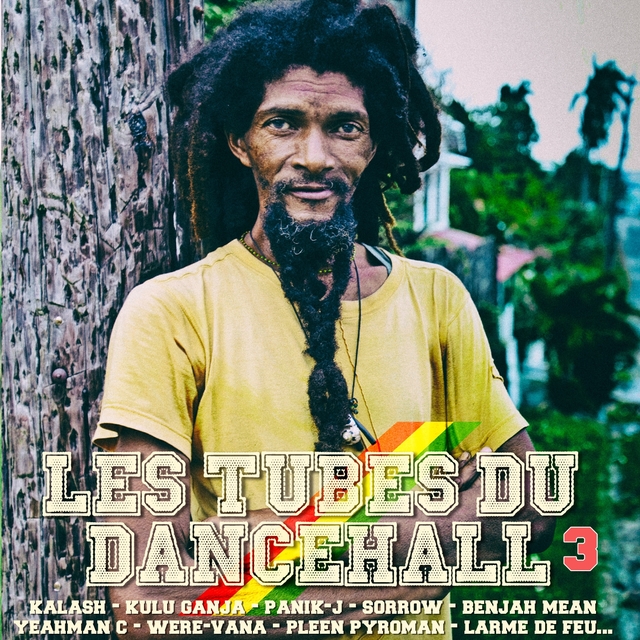 Couverture de Les tubes du Dancehall, vol. 3