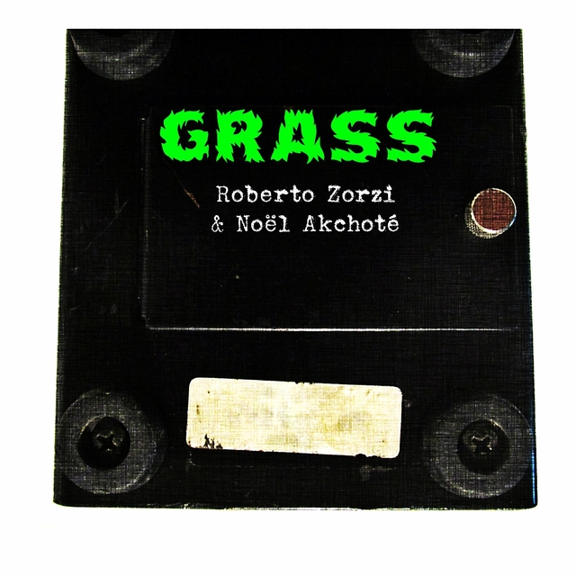 Grass