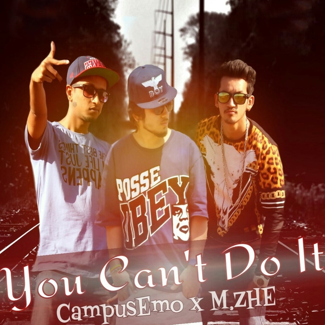 Couverture de You Can't Do It