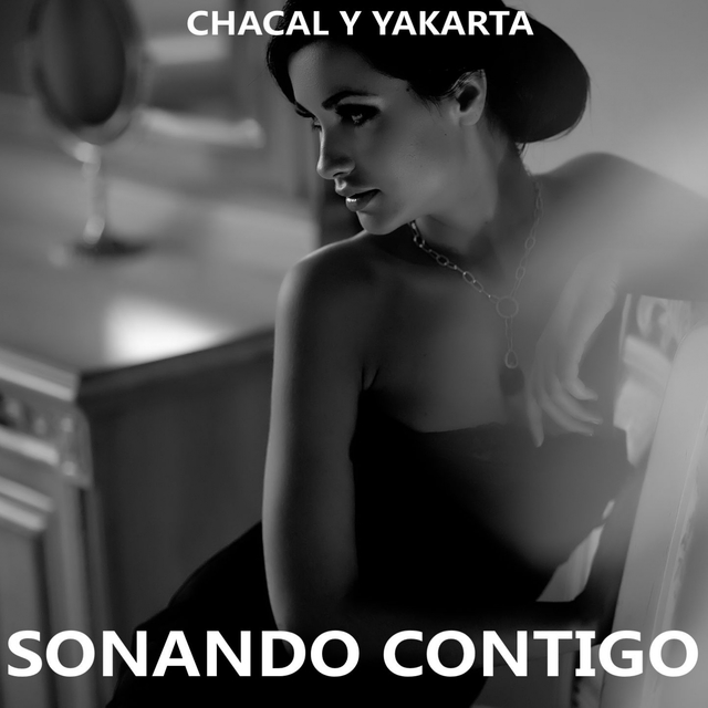 Couverture de Sonando Contigo