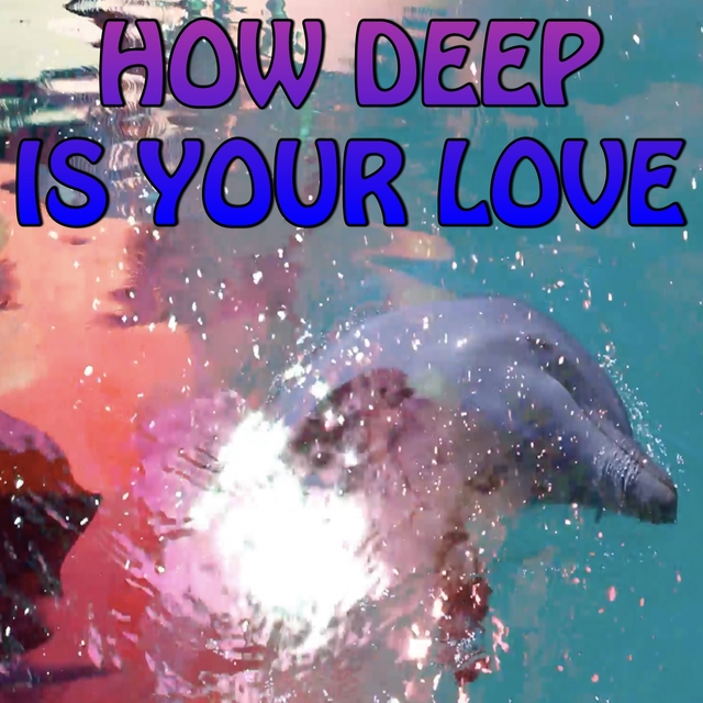 Couverture de How Deep Is Your Love - Tribute to Calvin Harris and Disciples