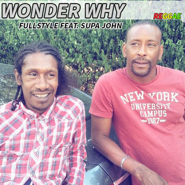 Couverture de Wonder Why