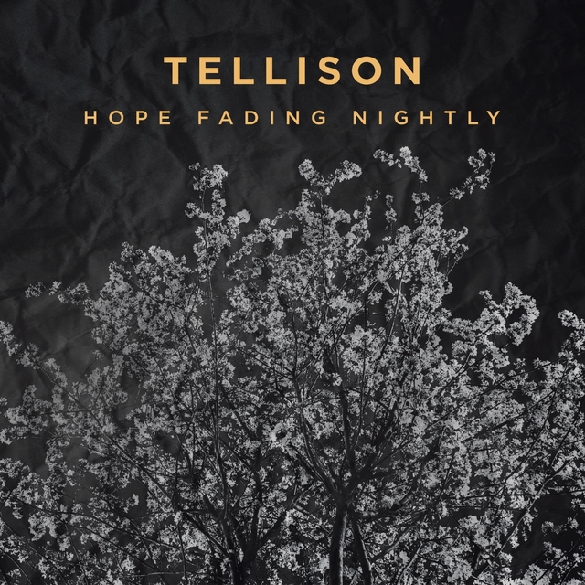 Couverture de Hope Fading Nightly