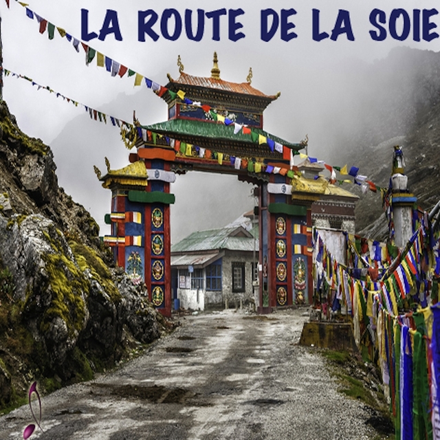 Couverture de La route de la soie