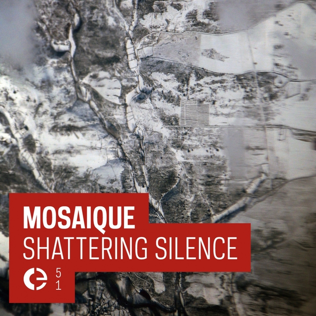 Couverture de Shattering Silence