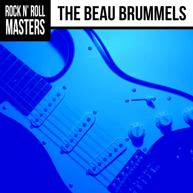 Couverture de Rock n' Roll Masters: The Beau Brummels